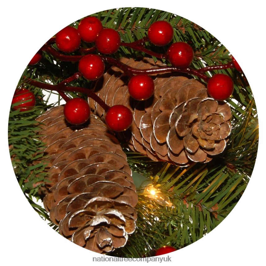 Greenery | National Tree Company Pre-Lit Artificial Christmas Wreath Green Bristle Berry Pine White Lights Decorated with Frosted Branches Pine Cones Berry Clusters Christmas Collection 24 Inc